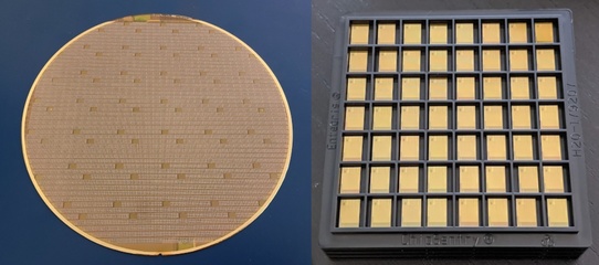 Skywater 網(wǎng)站的設(shè)計(jì)與開(kāi)發(fā) 打造高效、直觀的云端數(shù)據(jù)管理平臺(tái)