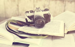 子瑤說攝影 | 社群99%攝影愛好者不知道的4大秘籍，助你開啟專業(yè)攝影攝像服務